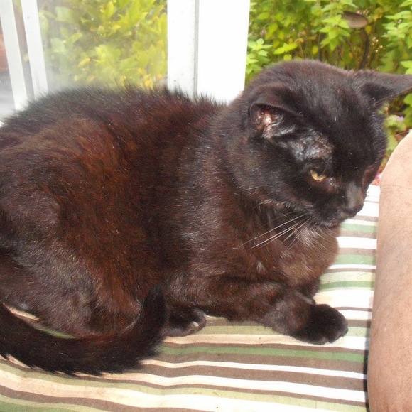 Meet your Posher, Lara - Picture 1 of 1